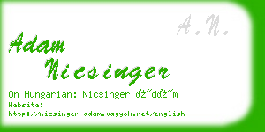 adam nicsinger business card